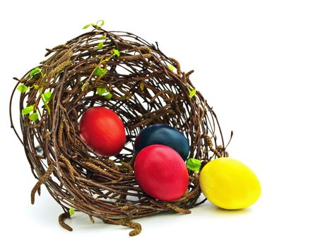 easter nest with multicolored eggs against white background