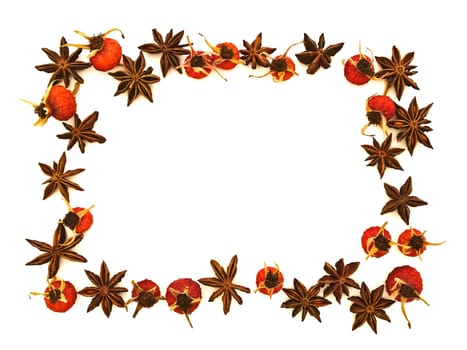 natural border with anise and dryed red rose hips against white. Copyspace for your text 