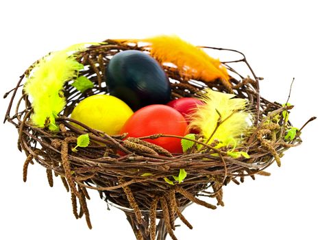 easter spring nest with multicolored eggs against white background