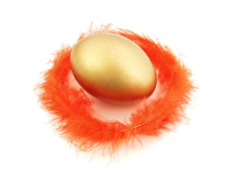 golden egg in red feathers against white background