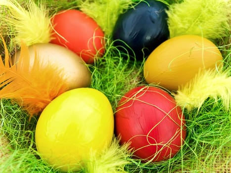 easter composition with multicolored eggs and feathers with green decoration