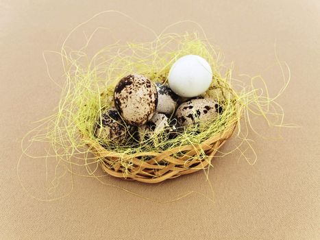 heap of quial eggs in the decorative nest against beige background