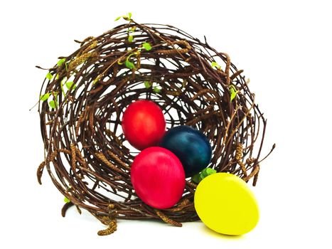 easter nest with multicolored eggs against white