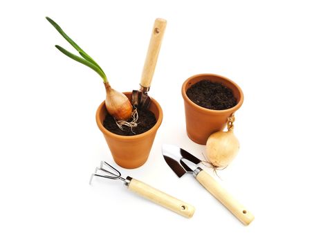 Gardening tools and pots with black soil and green onion against white background