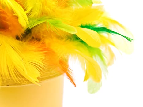 Bright easter composition with multicolored feathers over white