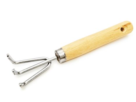 Single gardening tool against white background