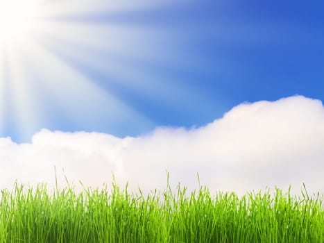 bright sun over the green grass and blue sky