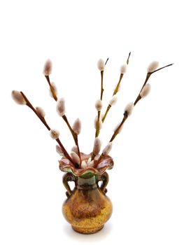 some pussy willow twigs in the vase