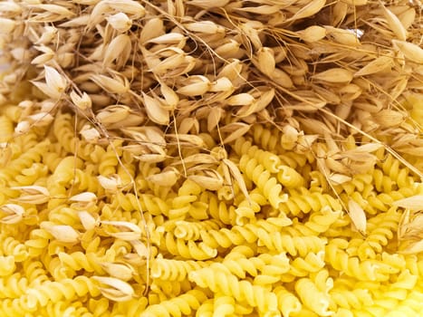 yelow spiral form pasta with oat grains