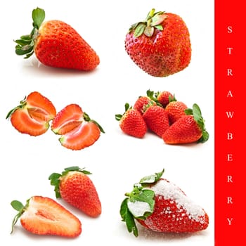 set of different strawberry images over white background