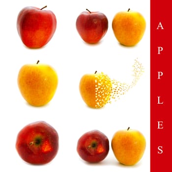 set of different apple images over white background