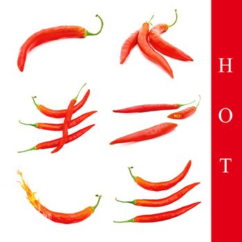 set of different red peppers images over white background