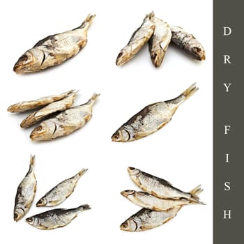 set of different dry fish images over white background