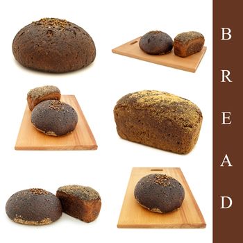 set of different bread images over white background