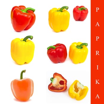 set of different paprika images over white background
