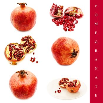 set of different pomegranate images over white background