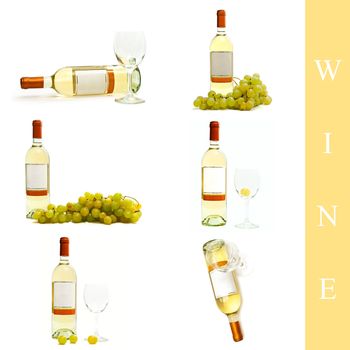 set of different wine images over white background