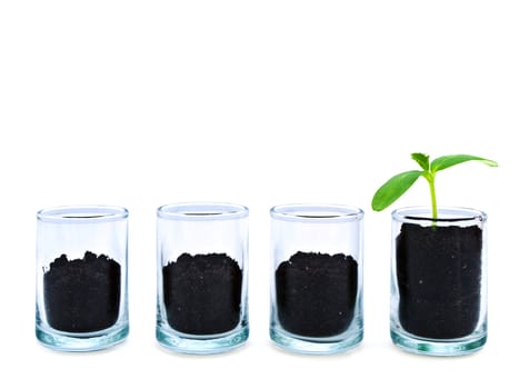 green sprout in glass container near some empty vessels over white background: one against all