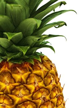  ripe and tasty pineapple over the white background  