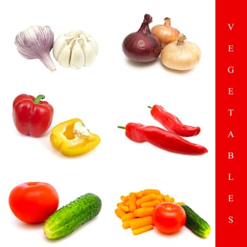 set from different vegetables over the white background