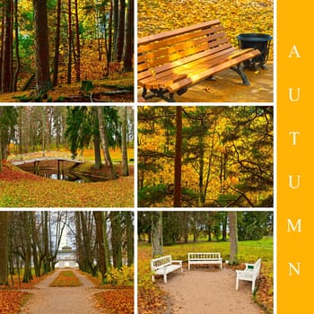 set from six different images in autumn style