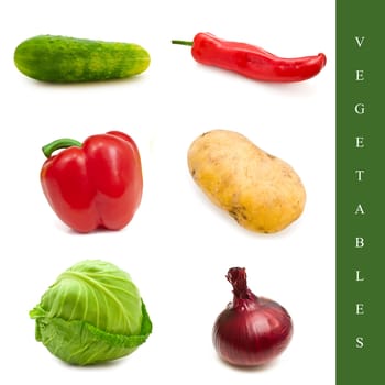 set from different vegetables over the white background