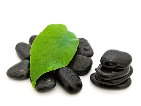 Relax theme with Zen stones and green herb over white background