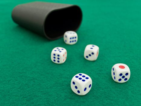 five dices on the green casino field
