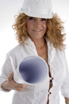 adult architect with paper roll on an isolated background