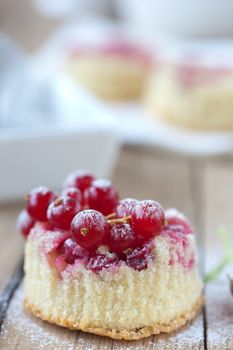 Delicious small cupcake with red currants