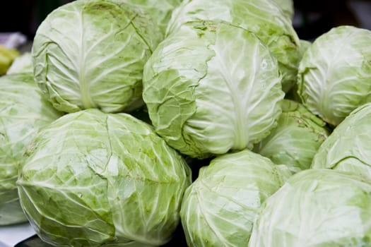 rows og cabbage saling in a supermarket