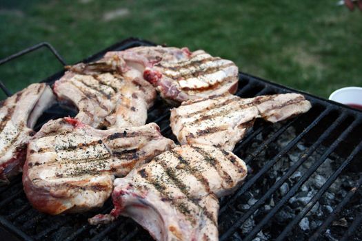 meat on a barbecue in a sunny day