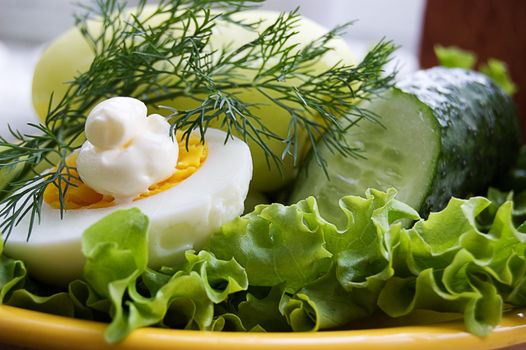 Greens, egg with mayonnaise on plate