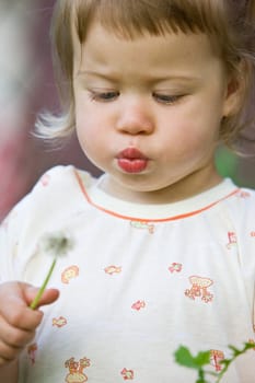 children series: little girl are blowing the dandelion