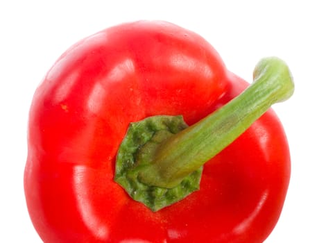 close-up back side of red pepper, isolated on white 