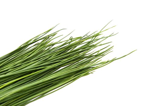 some green chive on white background