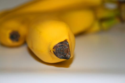 Close up of yellow and sweet bananas.
