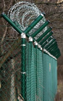 green wire fence around trees