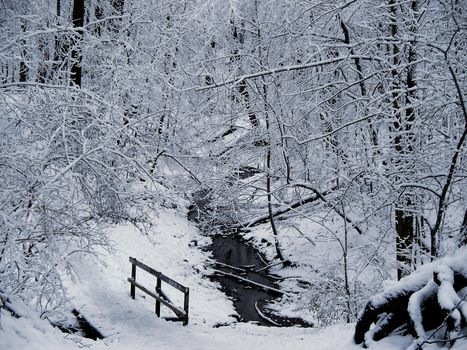 1st snowfall of the winter covers walking path looking like a winter wonderland