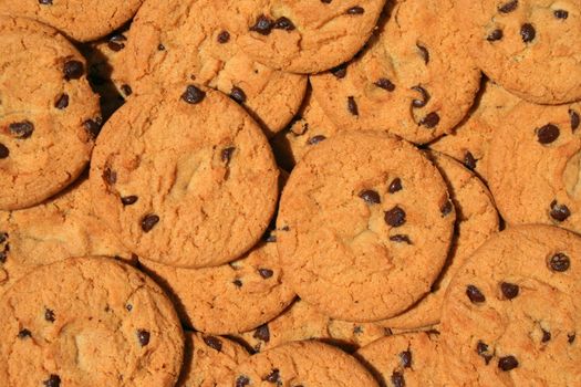 Close up of chocolate chip cookies.
