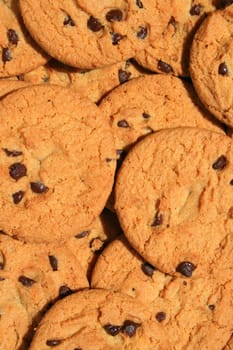 Close up of chocolate chip cookies.
