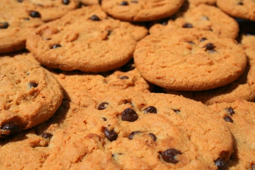 Close up of chocolate chip cookies.
