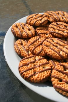 Close up of chocolate striped shortbread cookies on a plate.
