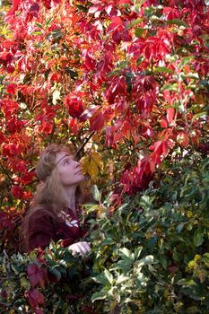 The blonde girle in medieval red dress in the autumn forest
