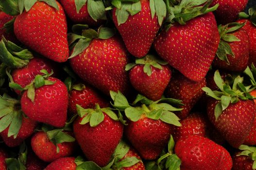 Strawberries with leaves filling the frame