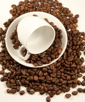 China coffee cup on roasted beans