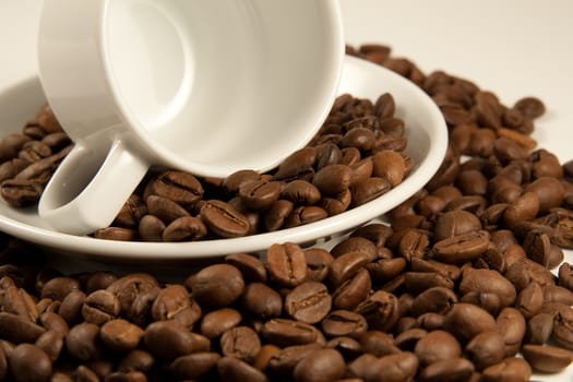 Closeup image of china cup on roasted coffee beans. Shallow DOF