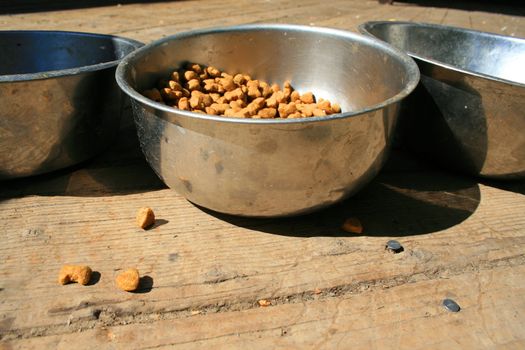 Close up of a dog food in a bowl.

