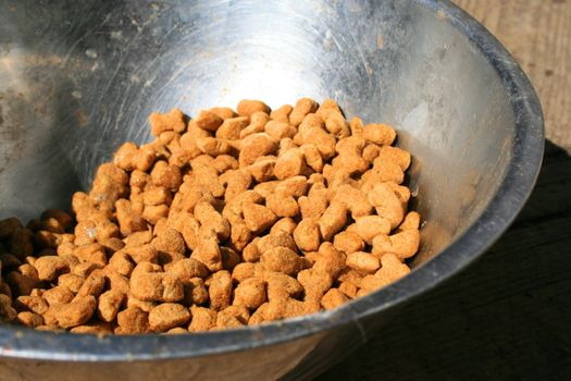 Close up of a dog food in a bowl.
