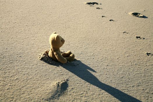 Lonely teddy bear lost on the beach. Left children's toy.